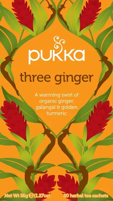Pukka Thee Three Ginger 20 Zakjes