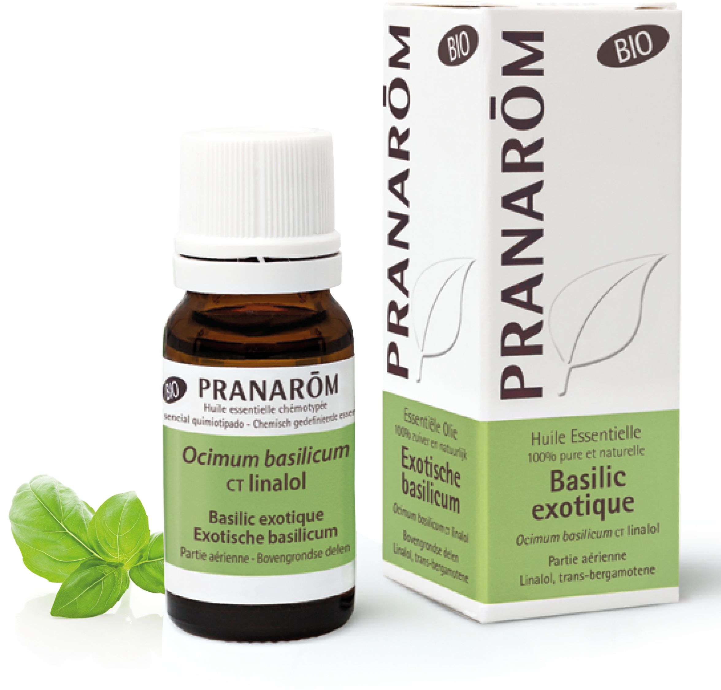 Pranarôm Basilic Linalol Bio Essentiële Olie 10 ml - Pranarôm