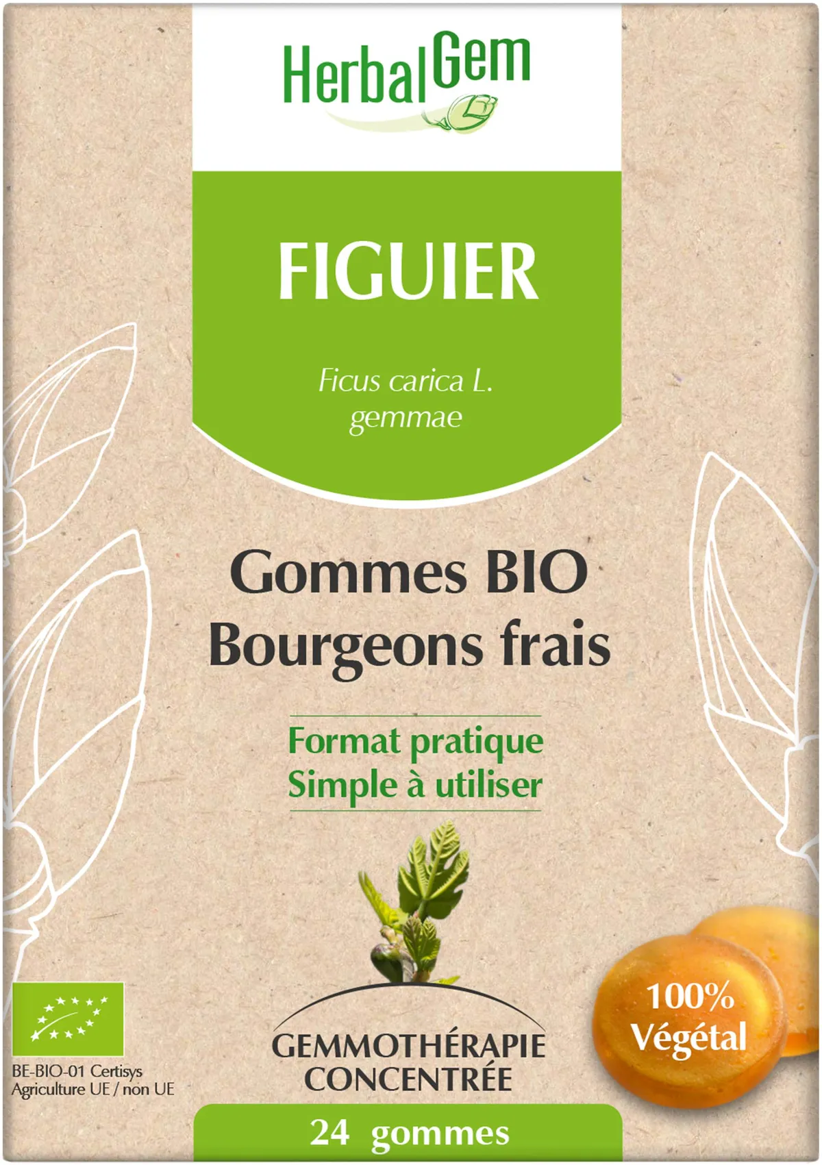 Herbalgem Figuier Bio Gommes 24