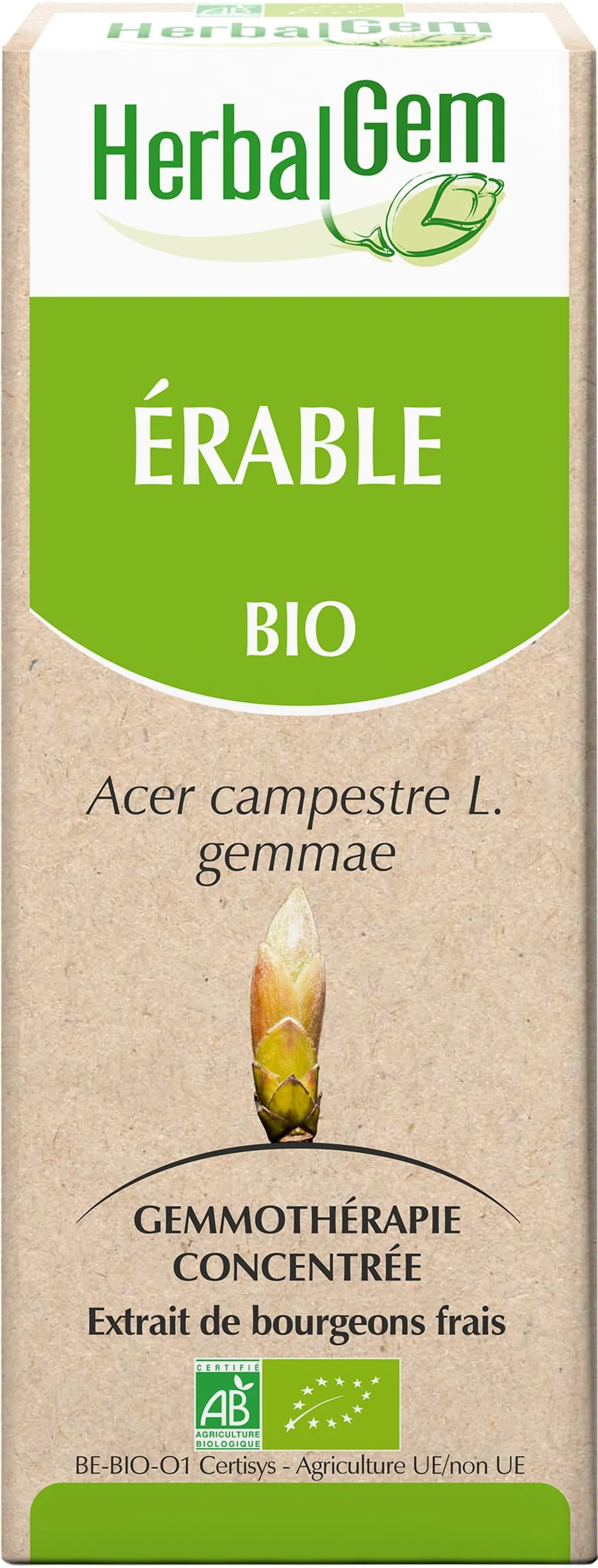 Herbalgem Erable Champetre Macérat 50ml