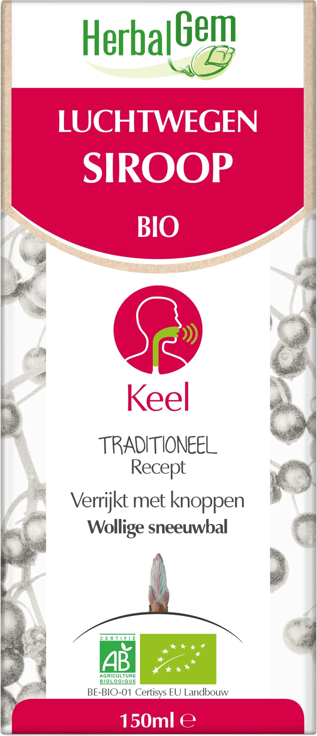 Herbalgem Luchtwegen-Siroop BIO 150ml
