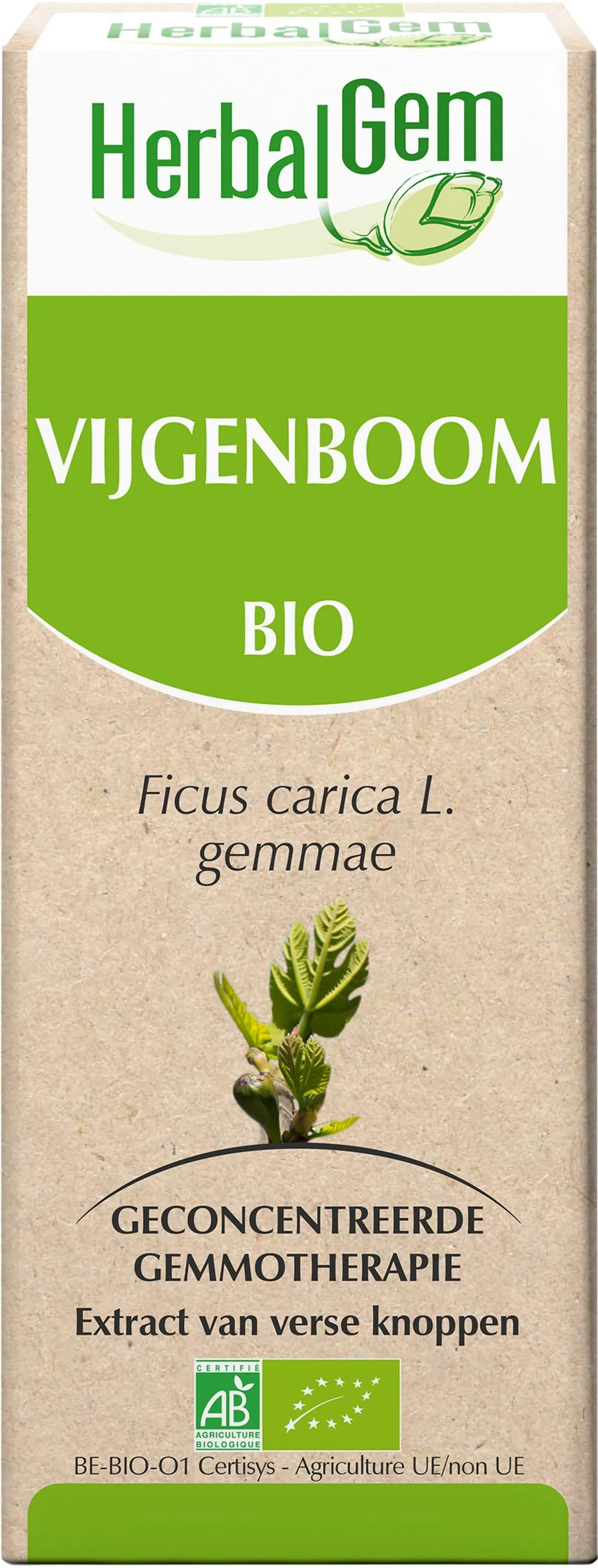 Herbalgem Vijgen maceraat 15ml