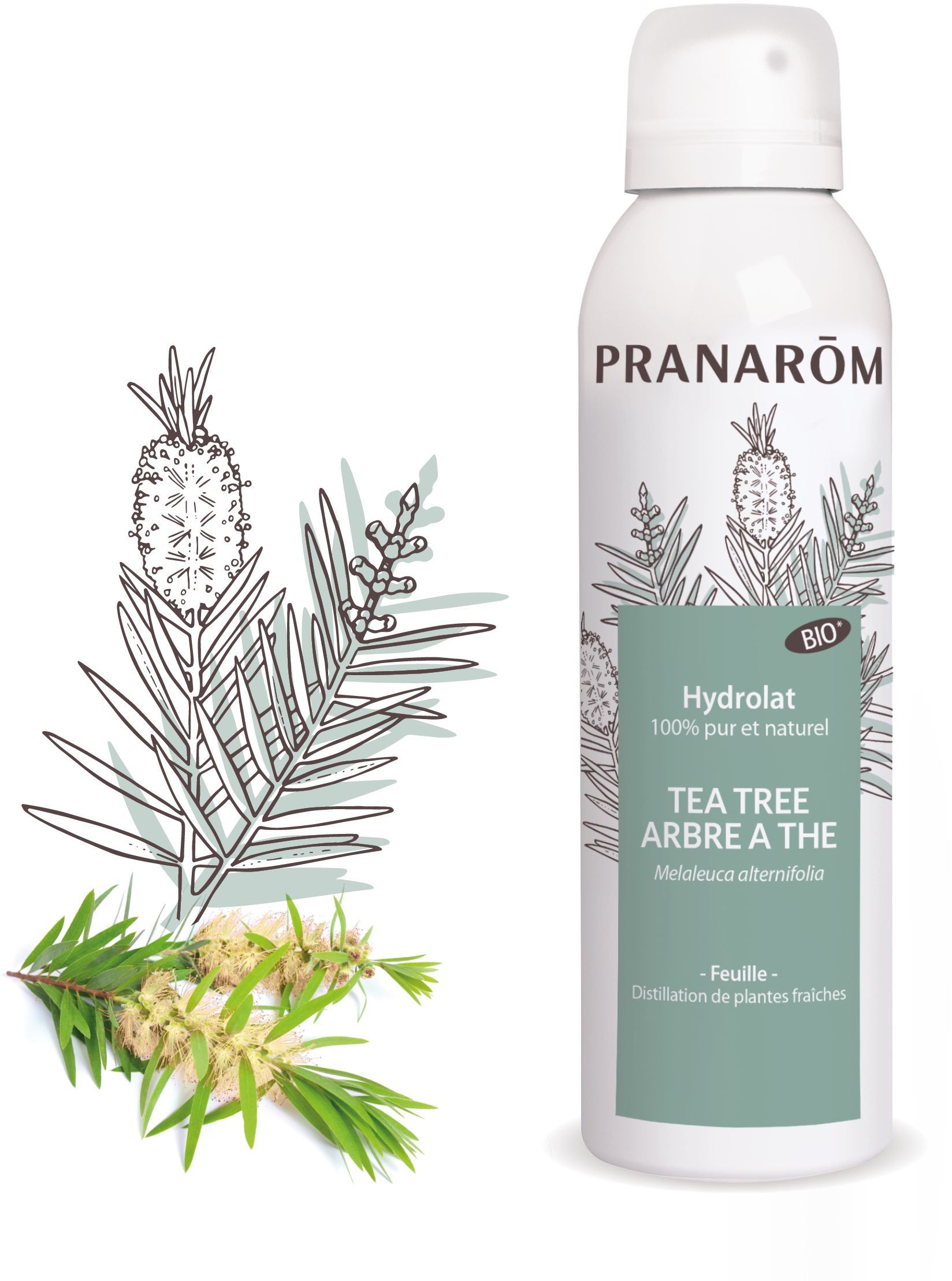 Pranarom Hydrolaat Tee Tree Bio 150 ml - Pranarôm