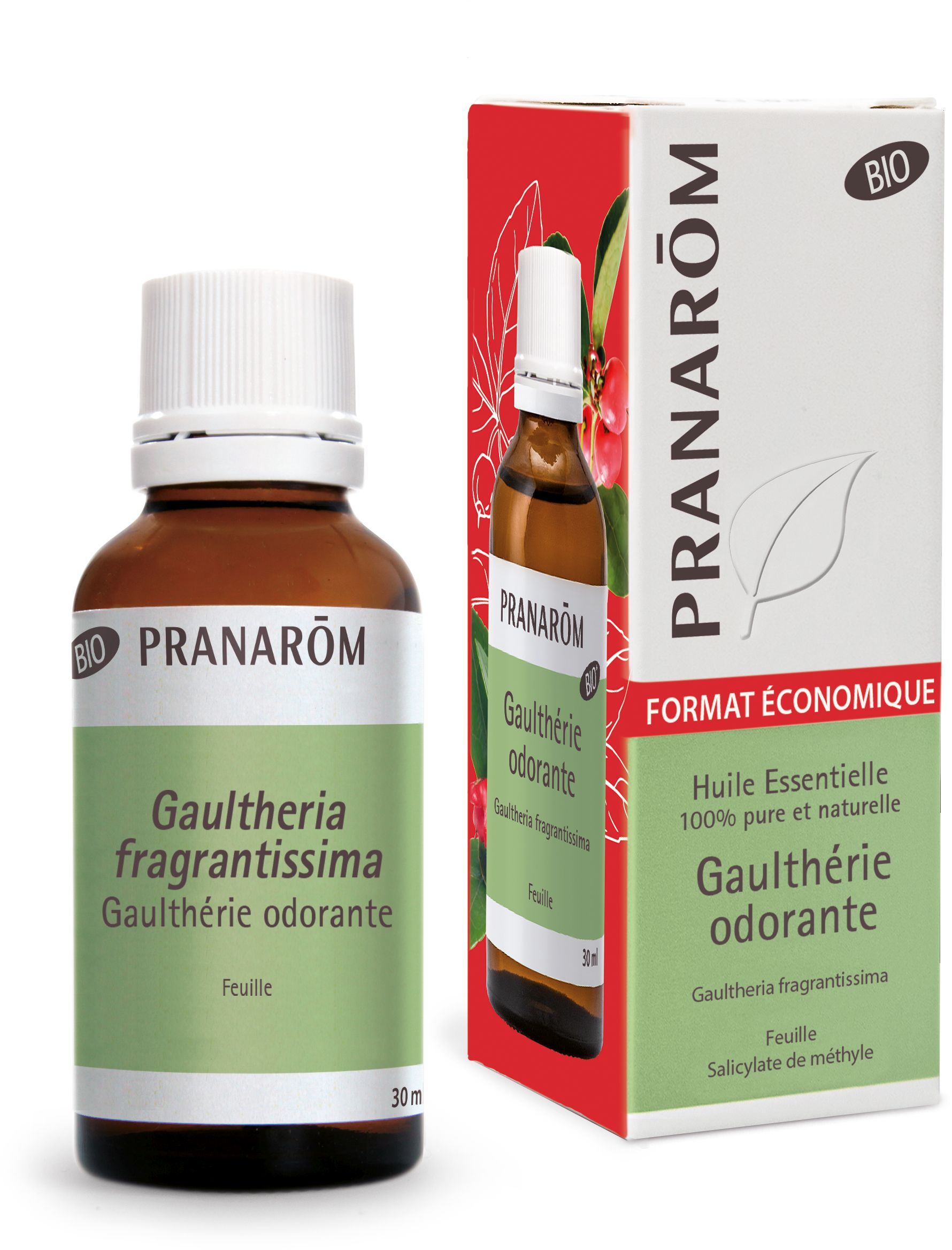 Pranarôm Essentiële olie geurige gaultheria Bio 30 ml - Pranarôm