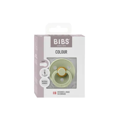 Bibs 1 Tétine Sage Single Pack