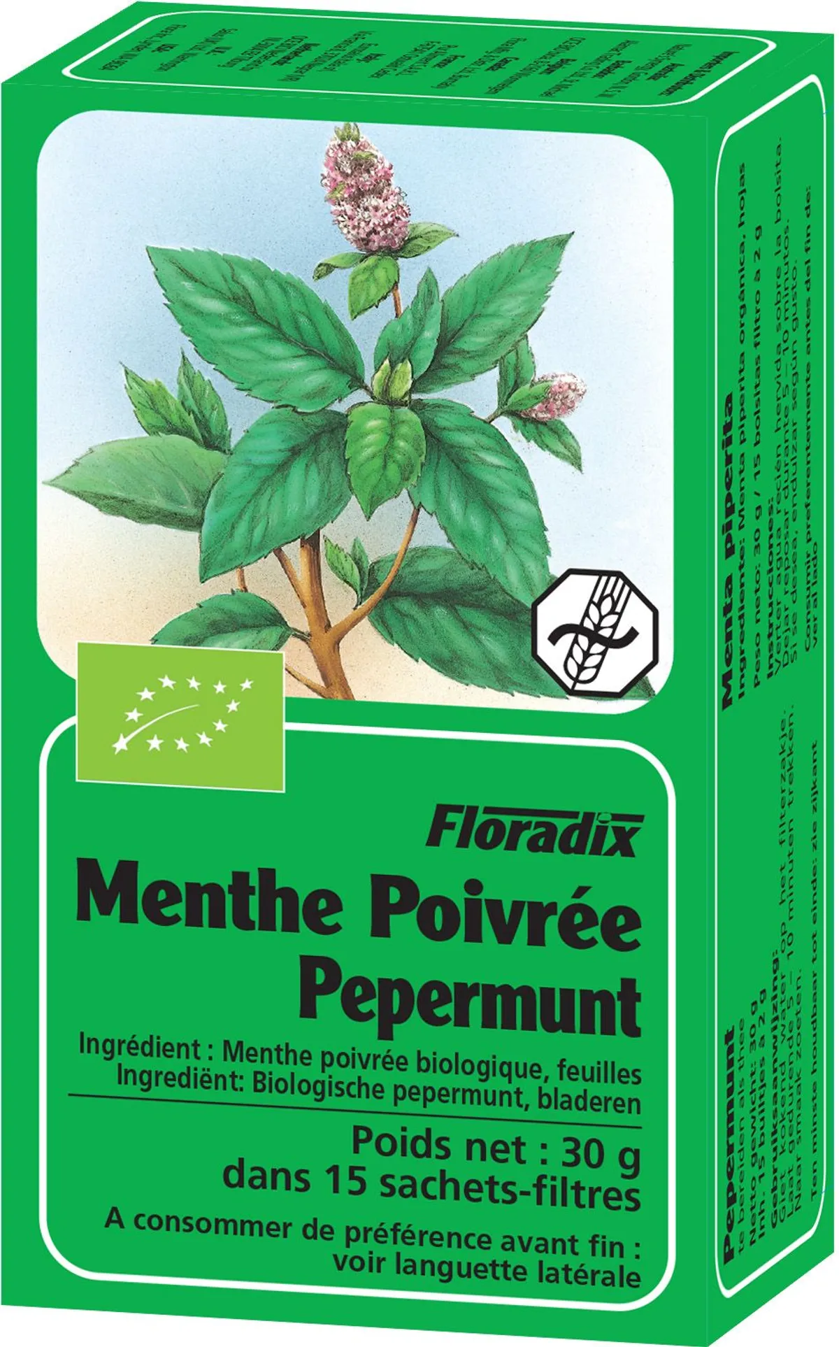 Salus Tisane Menthe Bio 15 Sachets