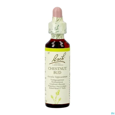 Bachbloesem Remedie 07 Kastanjeknop 20ml