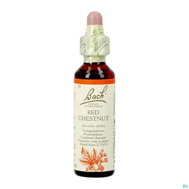 Bachbloesem Remedie 25 Rode Kastanje 20ml