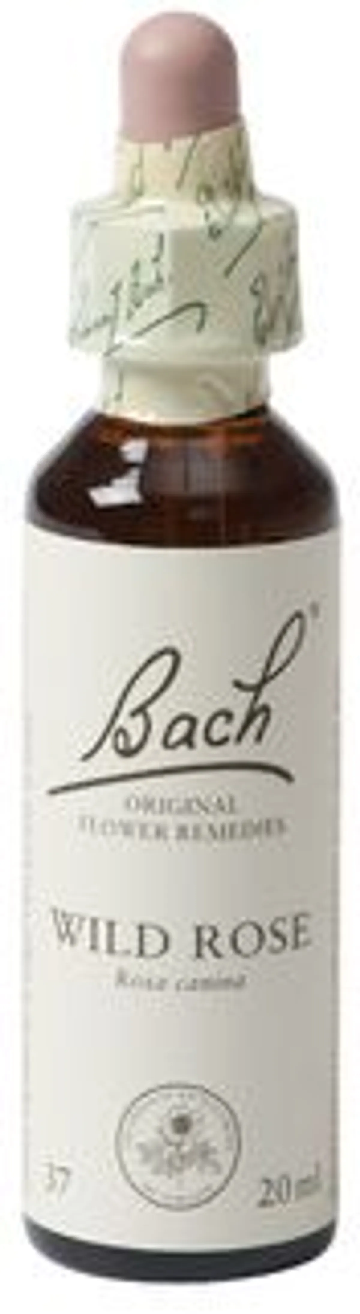 Bach Flower Remedie 37 Wild Rose 20ml