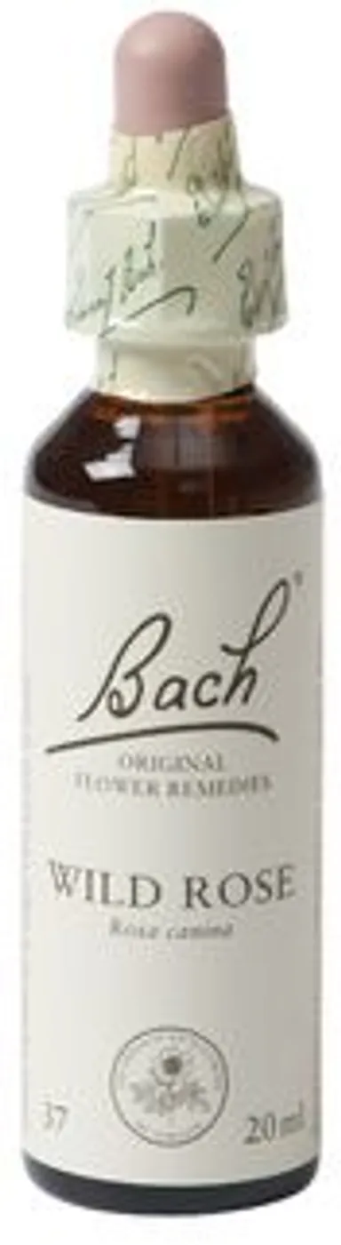 Bach Flower Remedie 37 Wild Rose 20ml