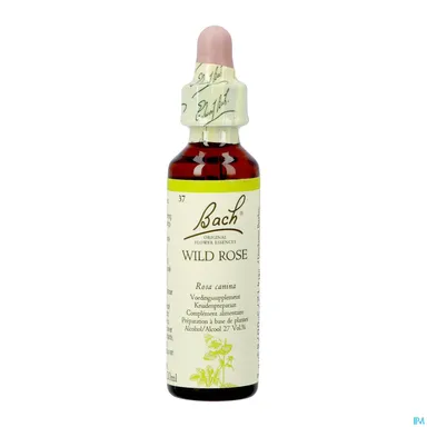 Bachbloesem Remedie 37 Hondsroos 20ml